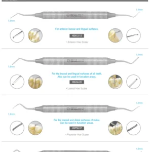 Osung Dental Hoe Scalers Original